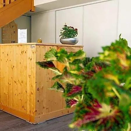 فندق Olydea Saint Colomban Des Villards 3*
